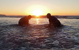 Otaki Beach